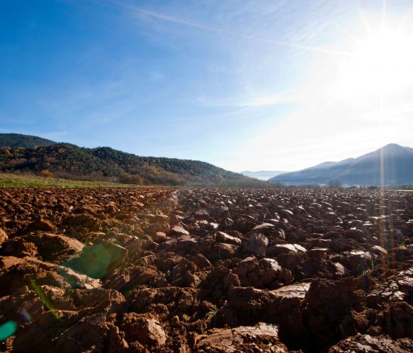 garrotxa aarde