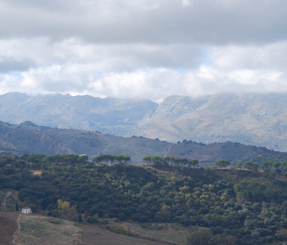 ronda andalusie