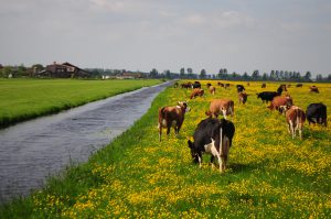 fietsvakantie nederland