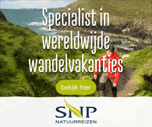 SNP Wandel   300 250