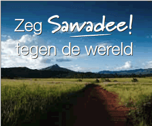 SNP Wandel   300 250