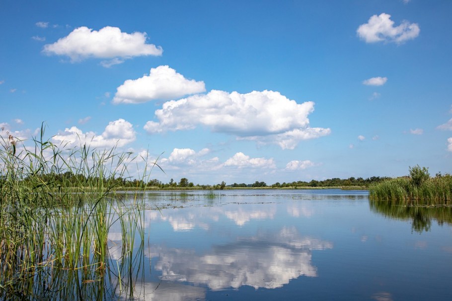 hollandse waterlinie naardermeer