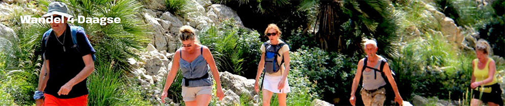 wandelvierdaagse