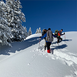 sneeuwwandelen oostenrijk   250x250